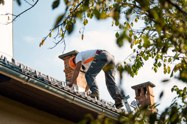 Best Affordable Roofing Company  in Holmen, WI
